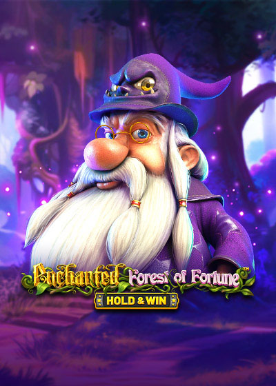 Enchanted: Forest Of Fortune