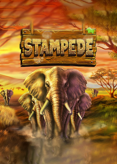 Stampede